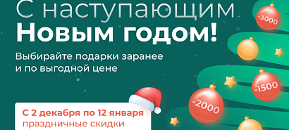 Новогодняя акция 2026
